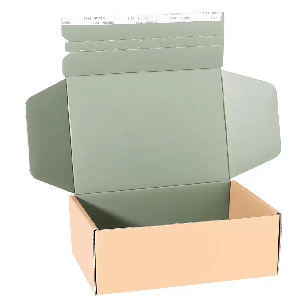  caixa de correspondência