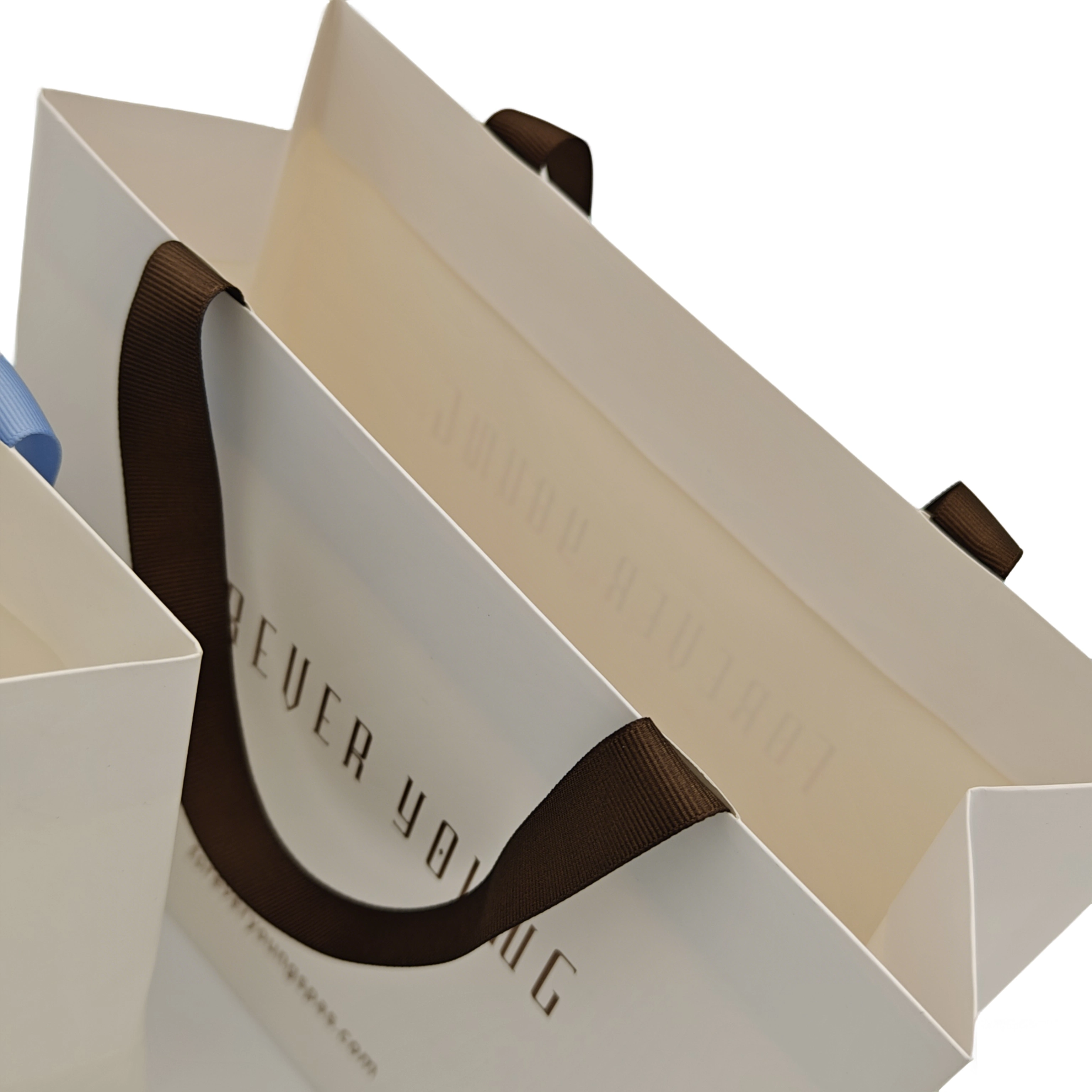  Sacolas de papel para compras 